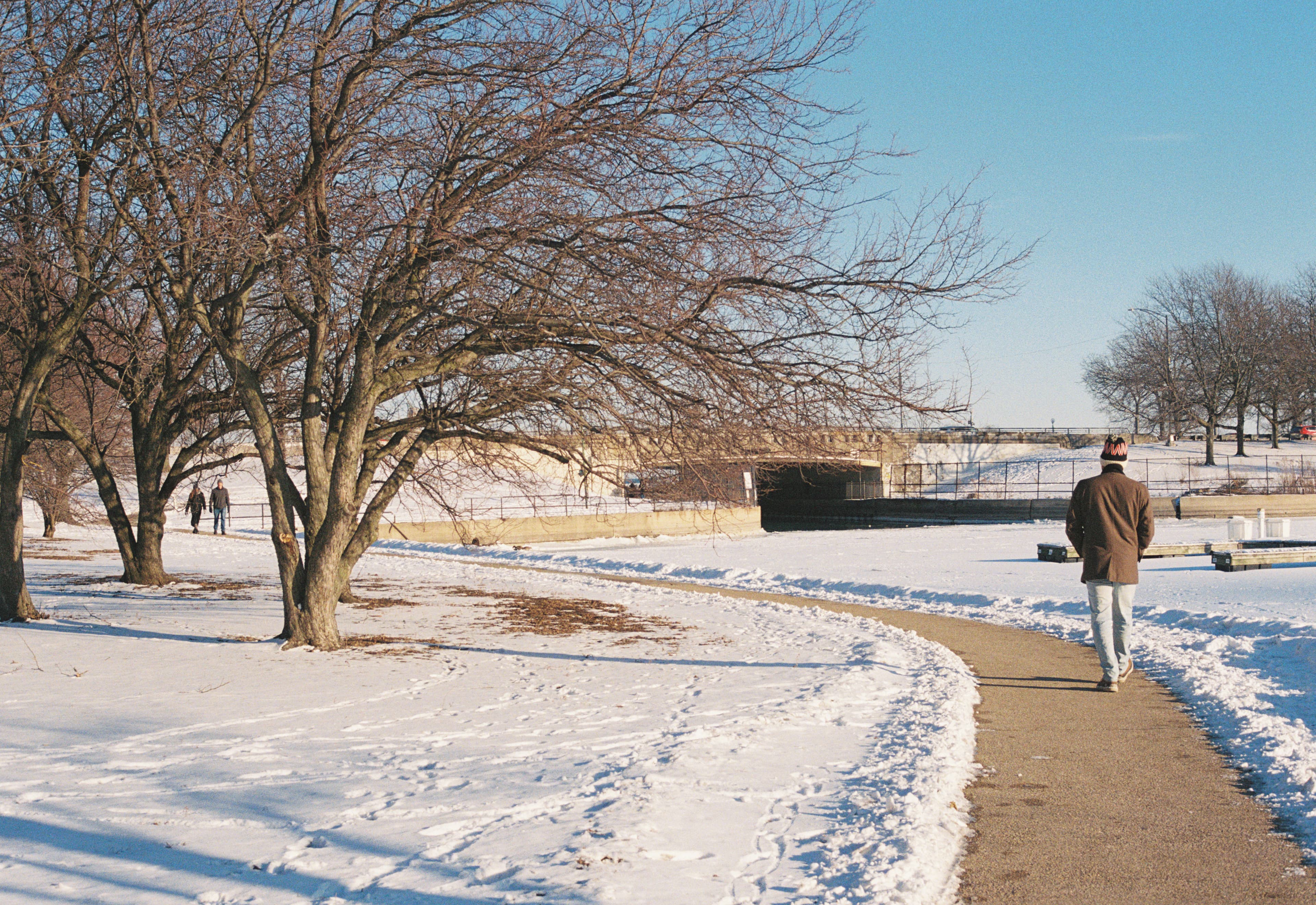 People walking to and from Belmont Harbor